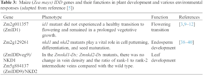 その他 jh The IDD Transcription Factors: Their Functions in Plant