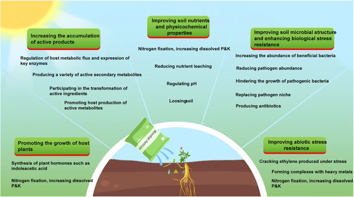 PHYTON | Free Full-Text | Microbial Fertilizer: A Sustainable