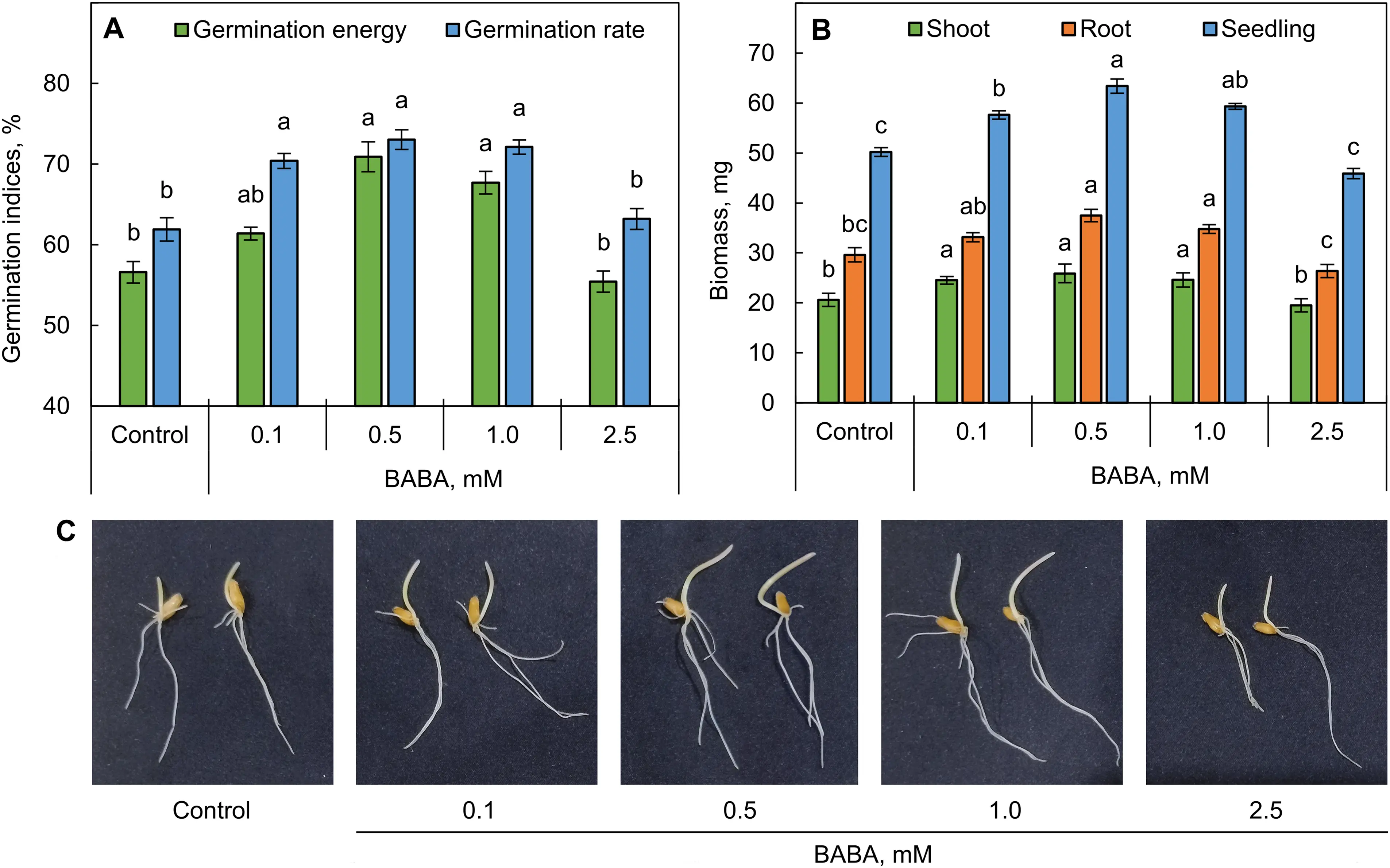 PHYTON | Free Full-Text | β -Aminobutyric Acid Promotes Germination of ...