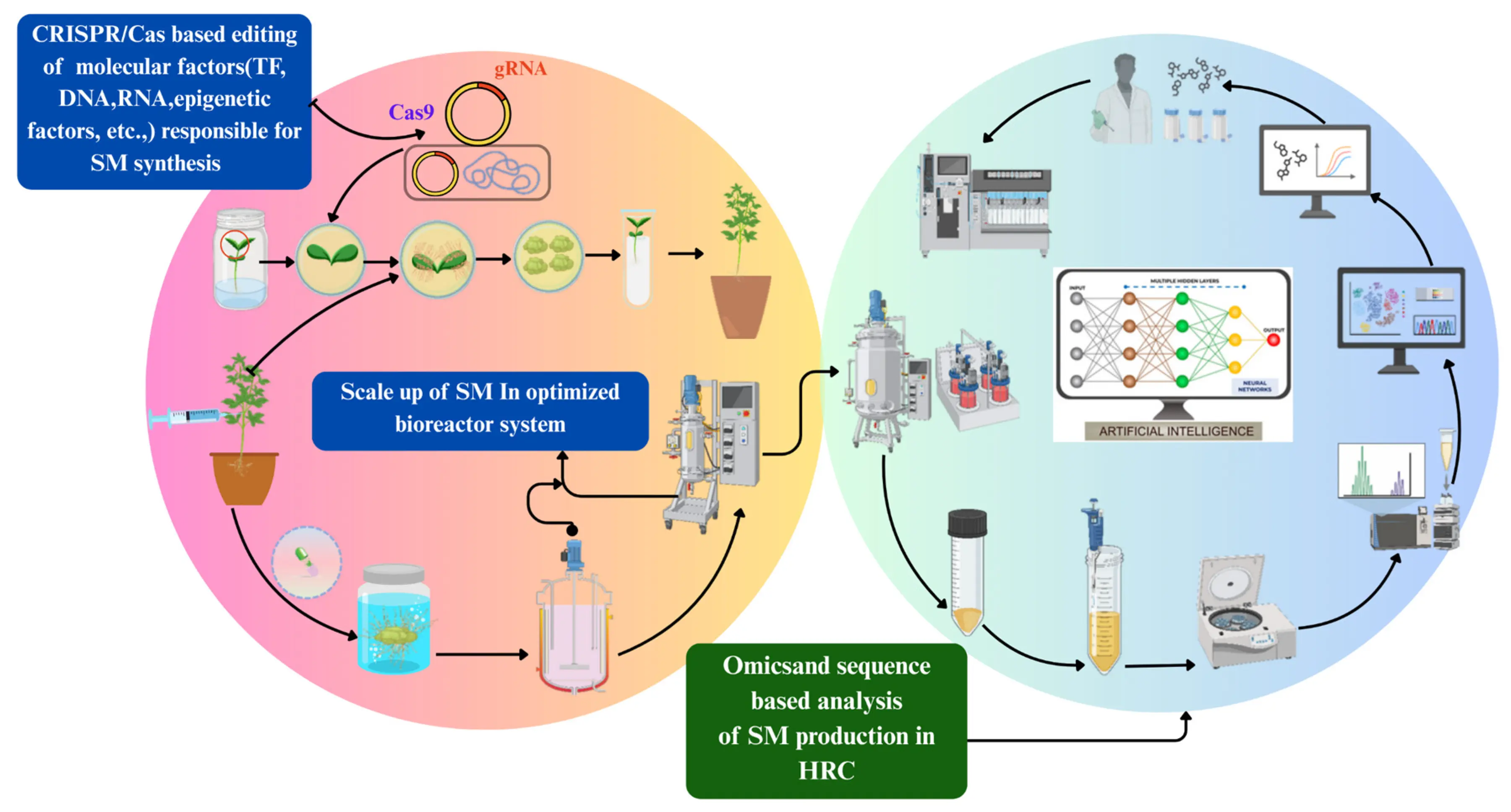 PHYTON | Free Full-Text | Revolutionizing Metabolic Engineering in ...