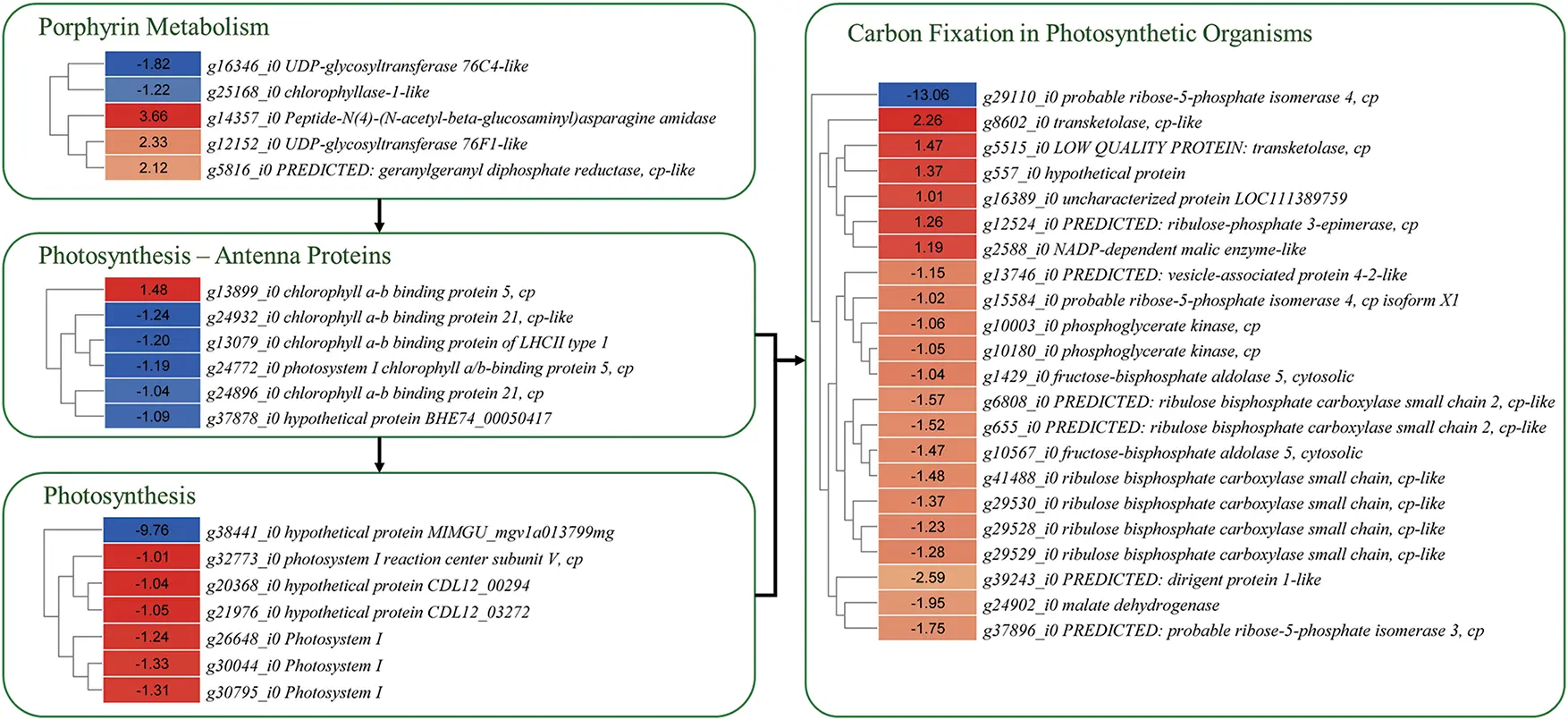 PHYTON | Free Full-Text | Comparative Transcriptomic Analysis of a ...