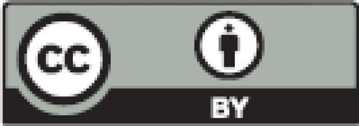 ma Frontiers | p38 MAPK Signaling in Osteoblast Differentiation