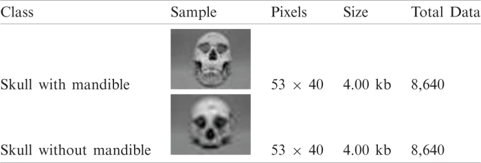 Cranial Participant Guid