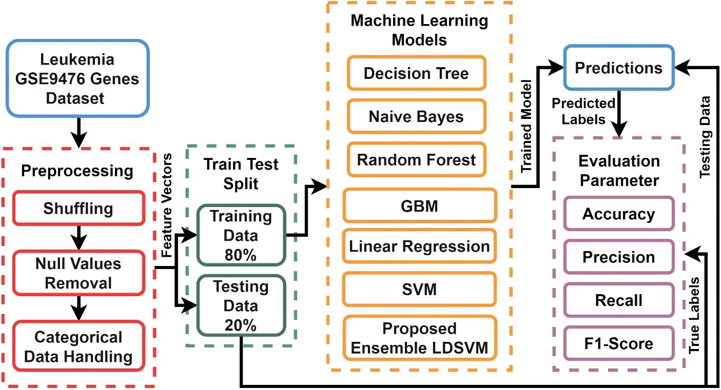 LDSVM: Leukemia Cancer Classification Using Machine Learning