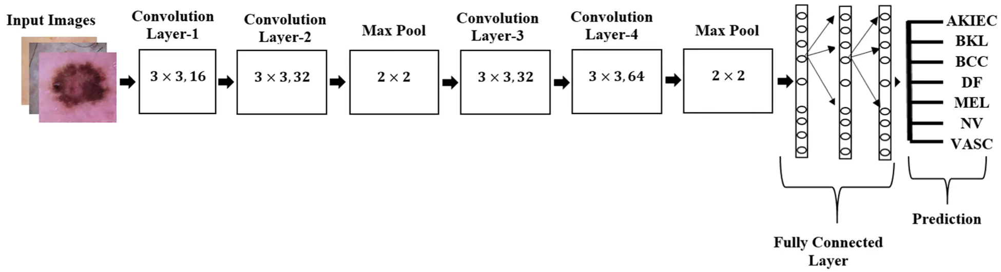 Deep Learning Based Automated Diagnosis of Skin Diseases Using Dermoscopy