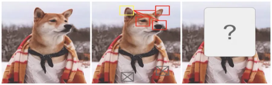images
