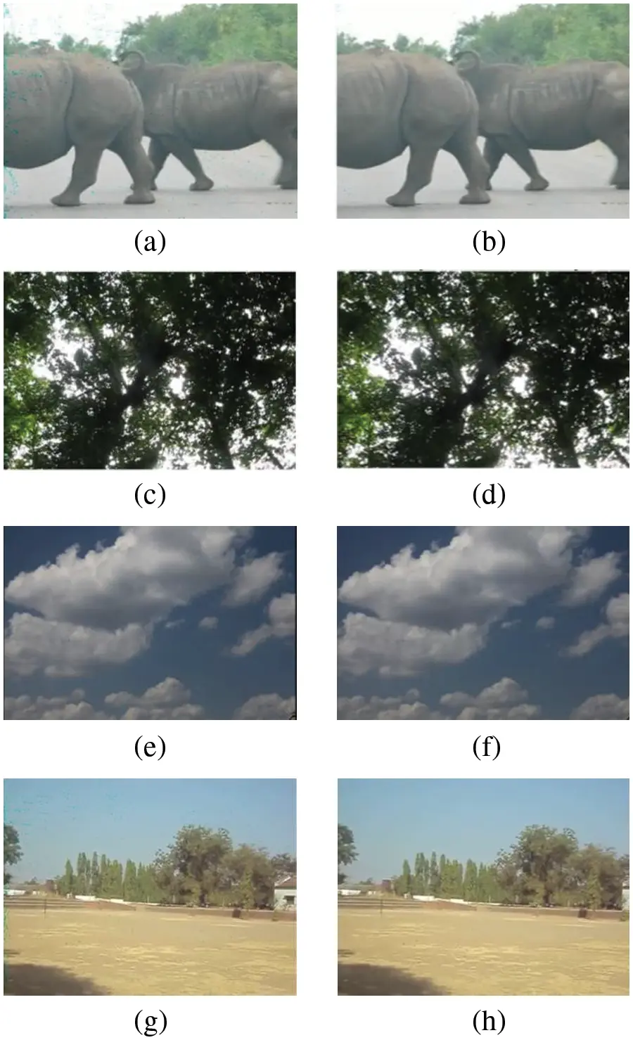 images