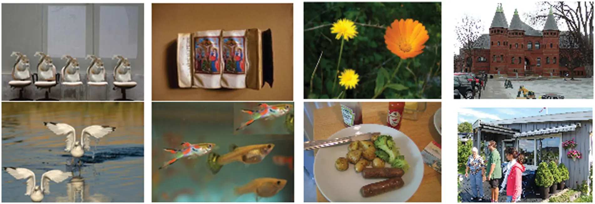 images