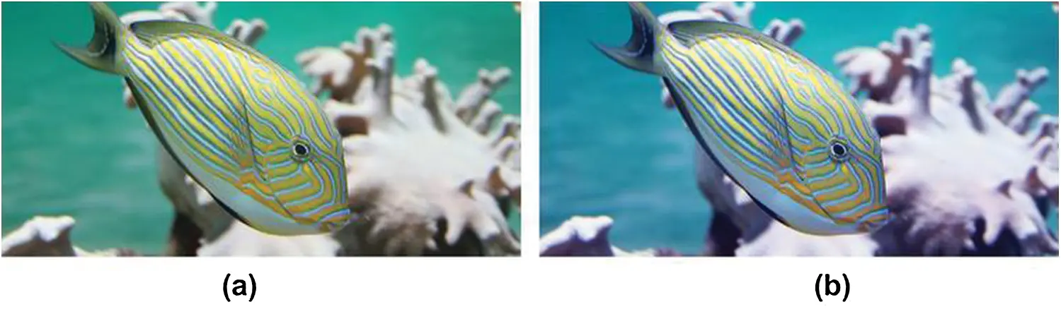 images