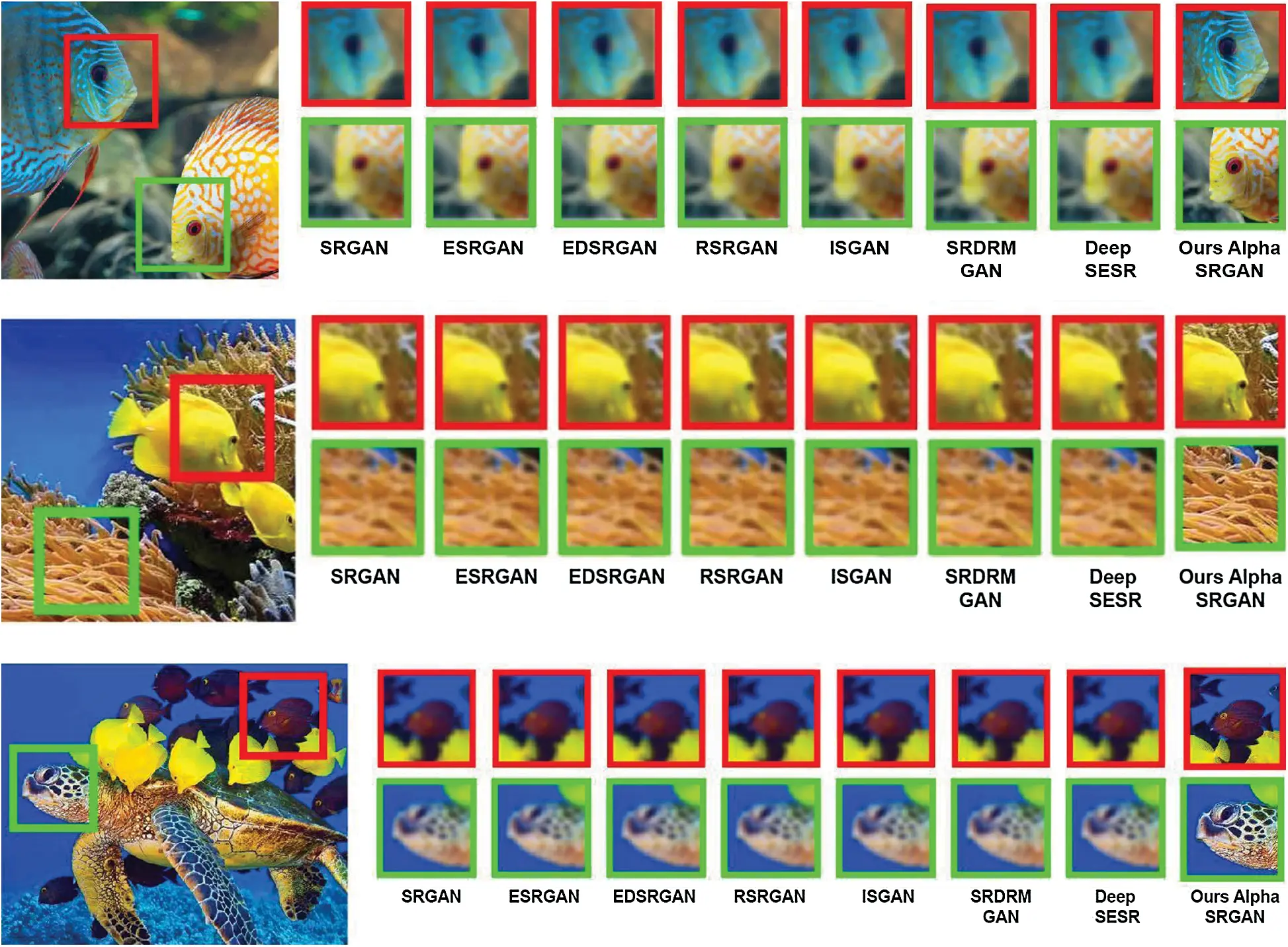 images