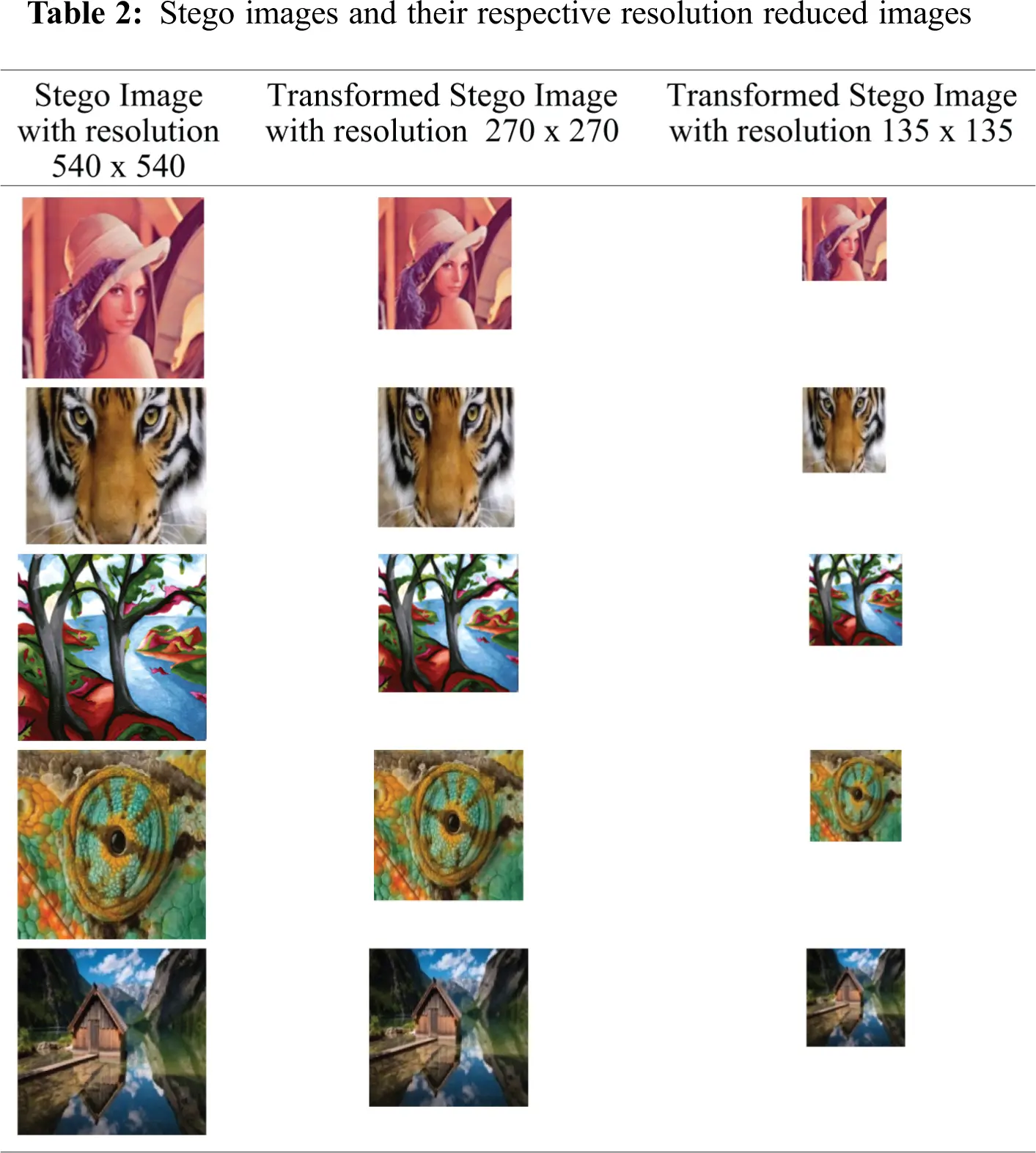 images