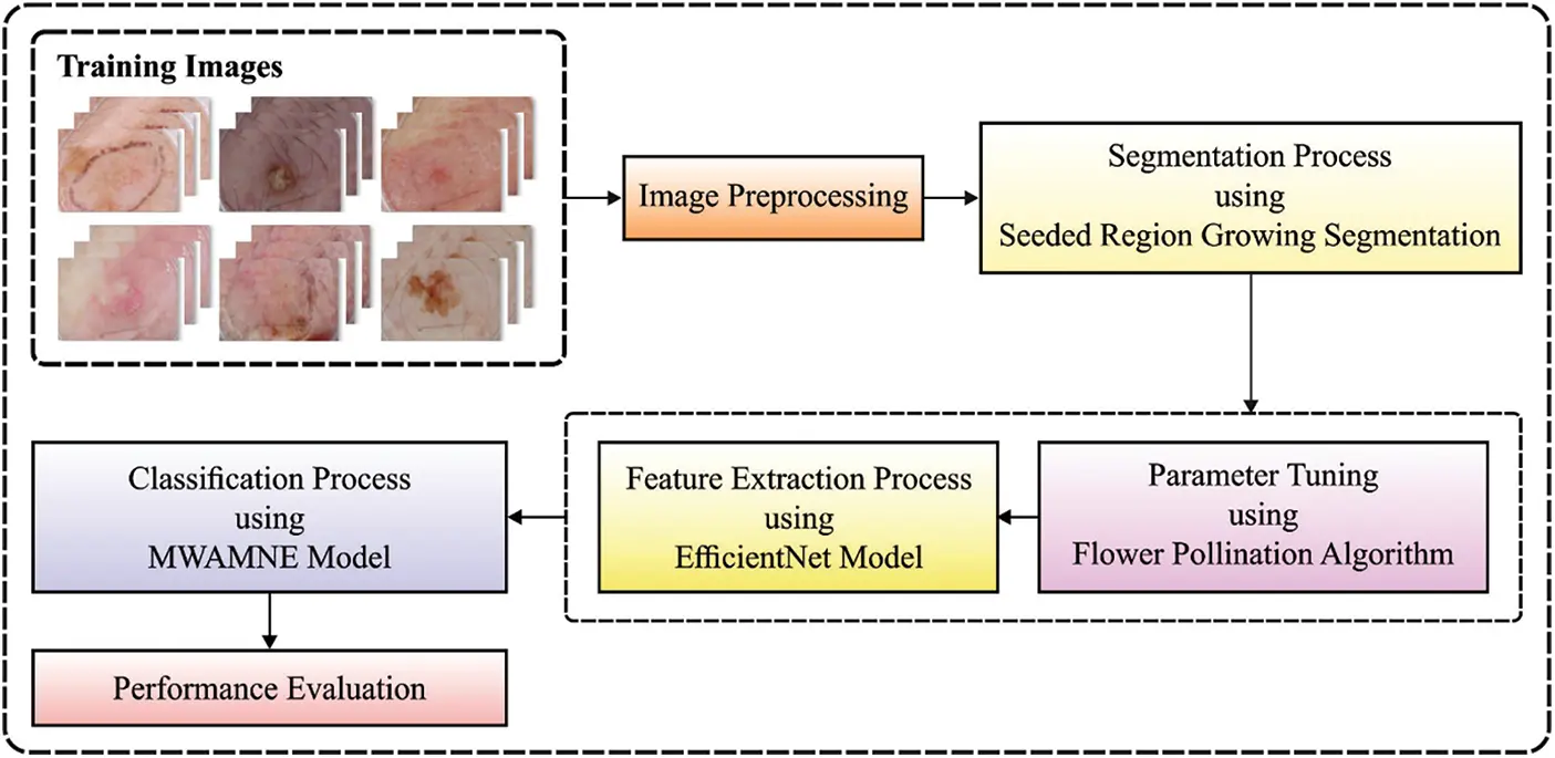 Automated Skin Lesion Diagnosis and Classification Using Learning ...