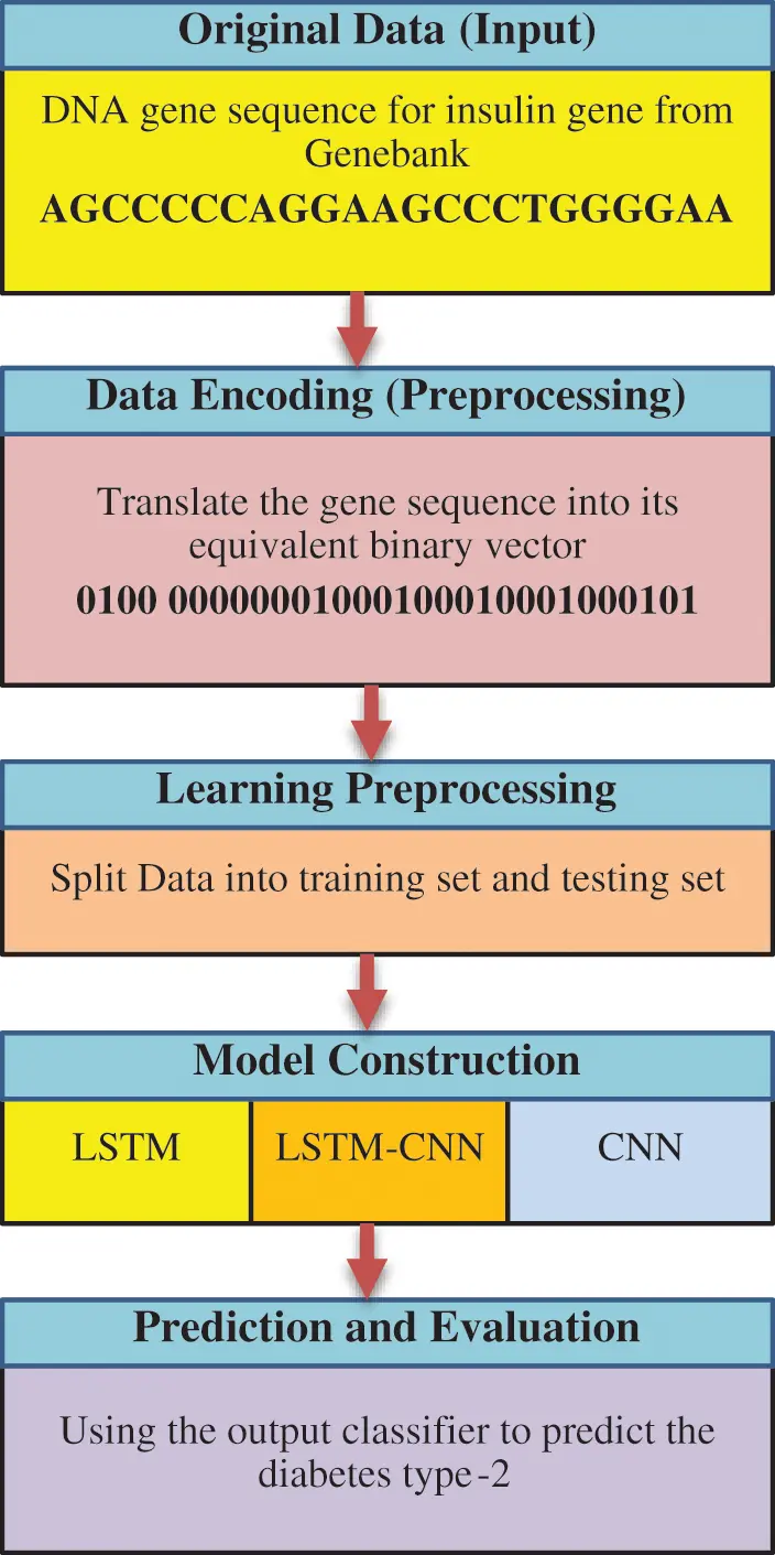Deep Learning Model to Detect Diabetes Mellitus Based on DNA Sequence