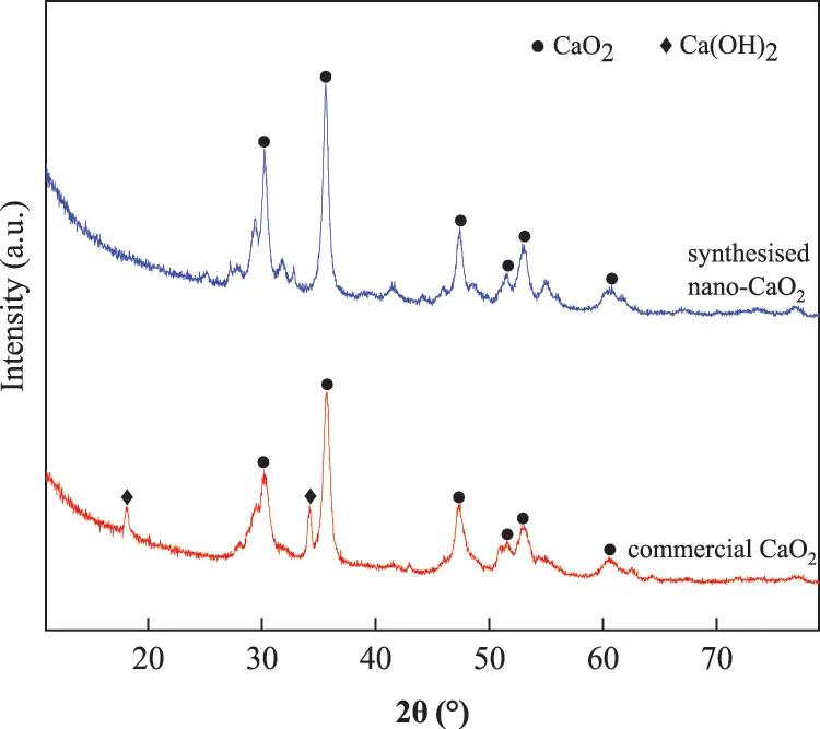 JRM | Free Full-Text | Nano-CaO 2 Promotes the Release of Carbon ...