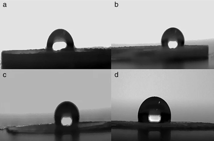Preparation of Porous Materials Derived from Waste Mussel