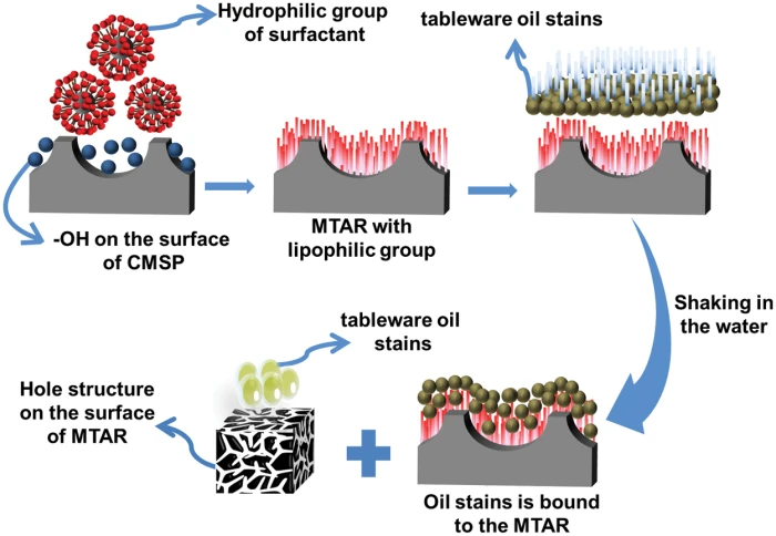 Preparation of Porous Materials Derived from Waste Mussel