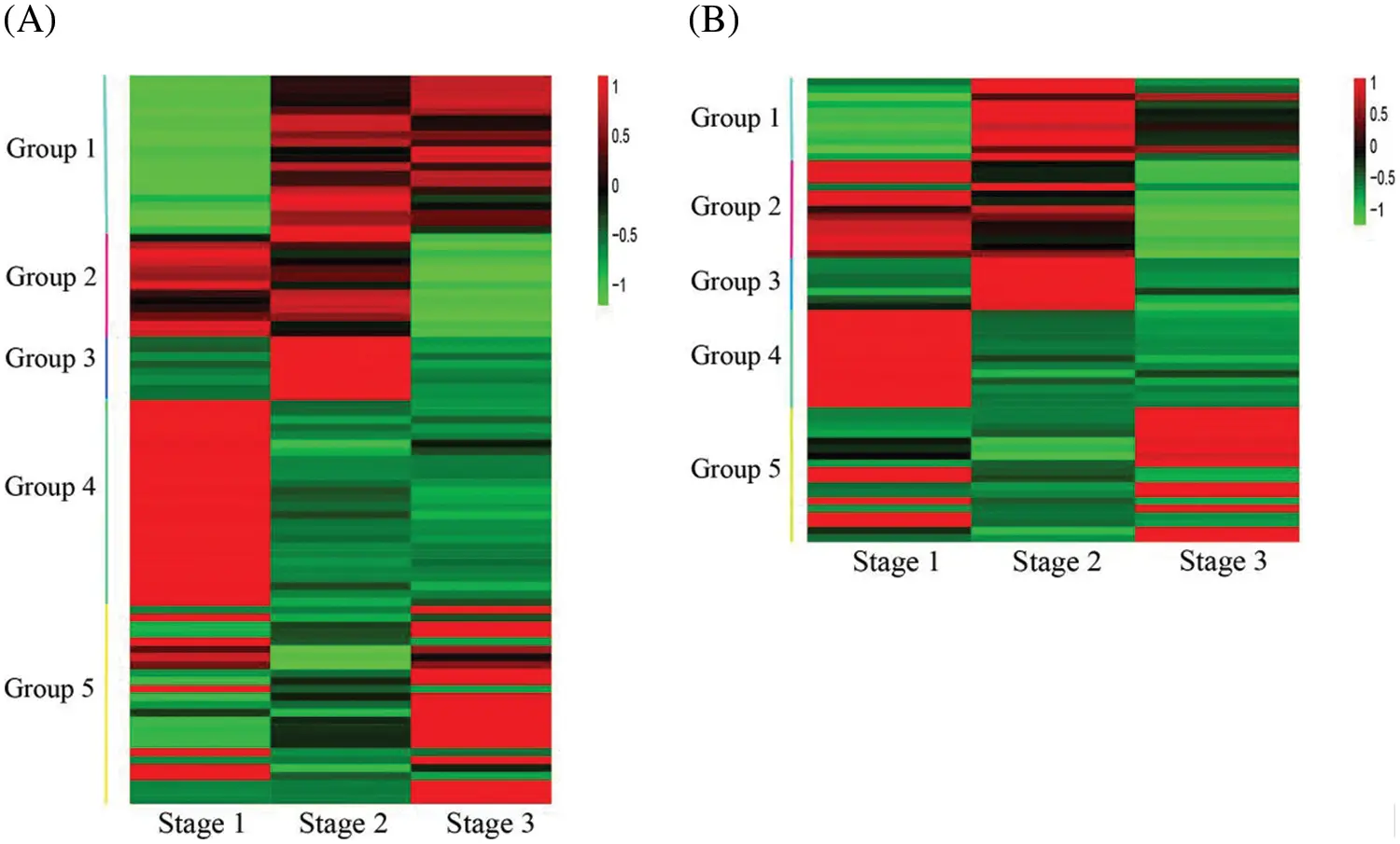 Transcriptome Flower Development Transcriptome Profiling of Flower Development Reveals Key Genes ...
