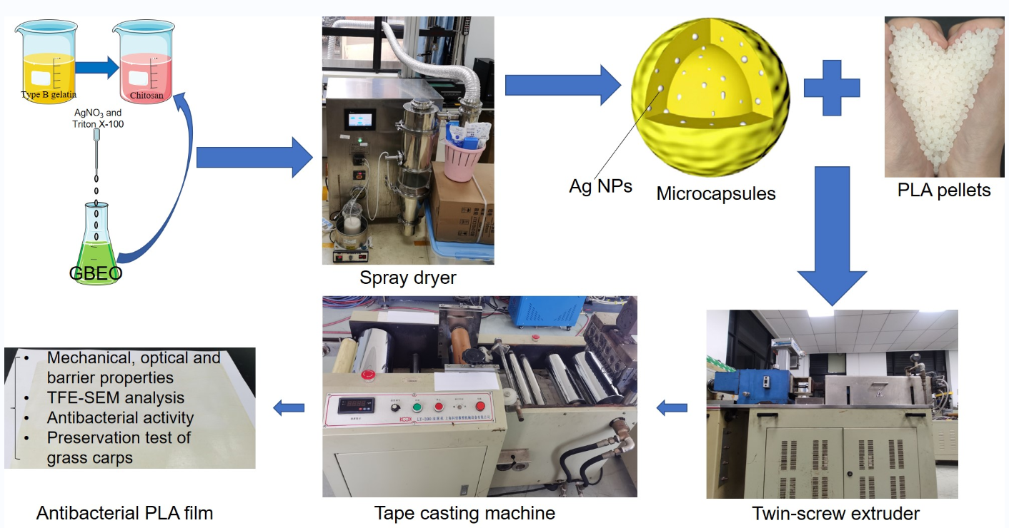 Antibacterial Chitosan-Gelatin Microcapsules Modified with Green-Synthesized Silver Nanoparticles for Food Packaging