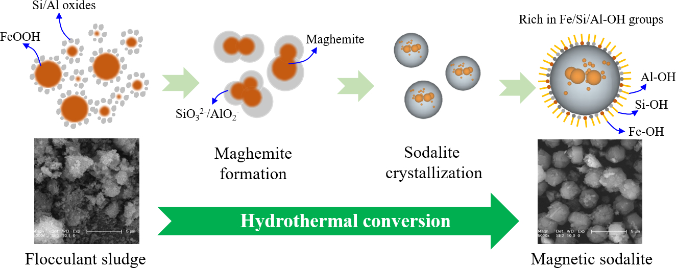 Recycling of Mud Derived from Backwash Wastewater Coagulation as Magnetic Sodalite Sphere for Zn<sup>2+</sup>Adsorption