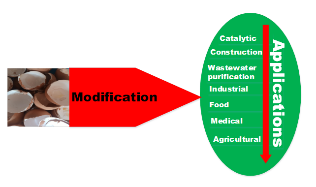 Pathways for Sustainable Utilization of Waste Chicken Eggshell