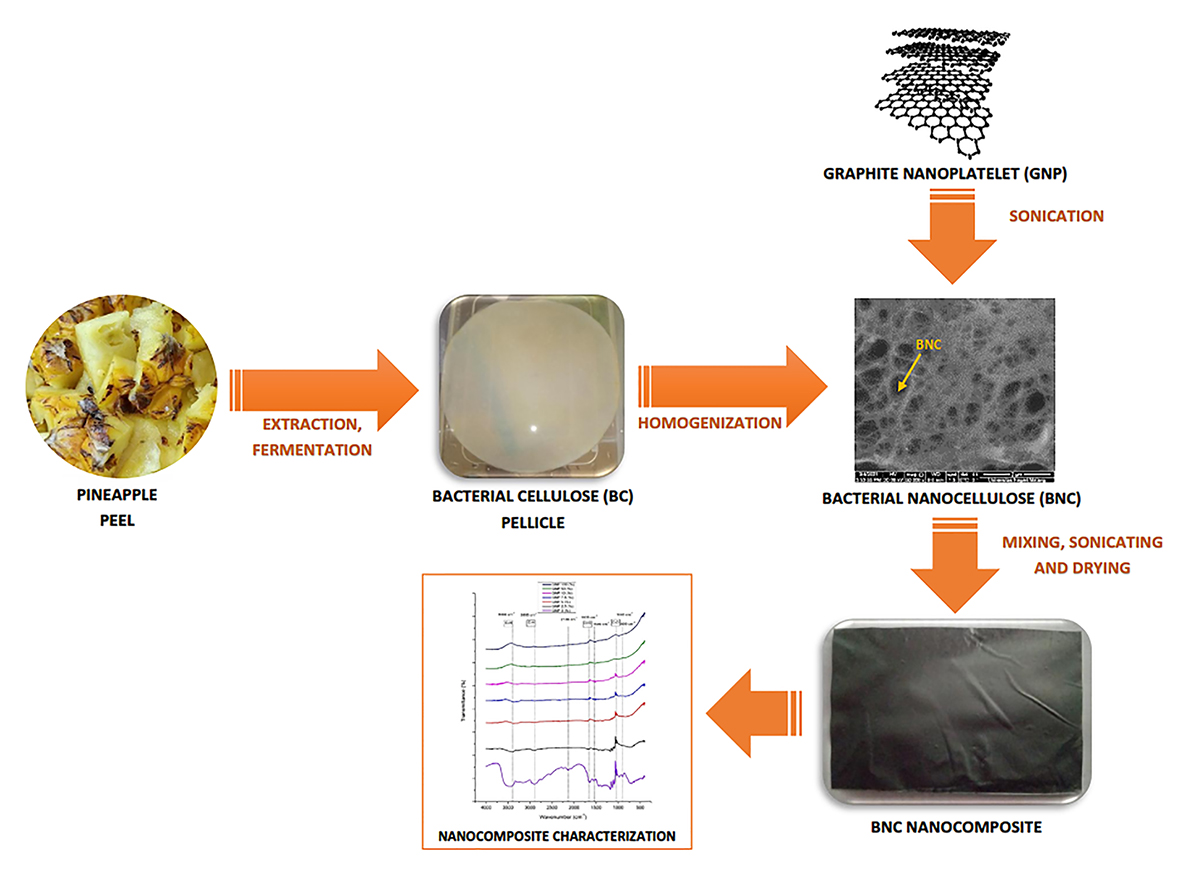 Characterization of Nanocomposite Membrane Based Bacterial Cellulose Made of Pineapple Waste Reinforced by Graphite Nanoplatelets