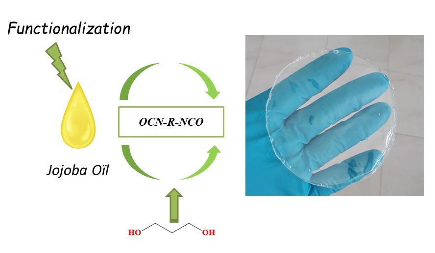 New Biobased Polyurethane Materials from Modified Vegetable Oil