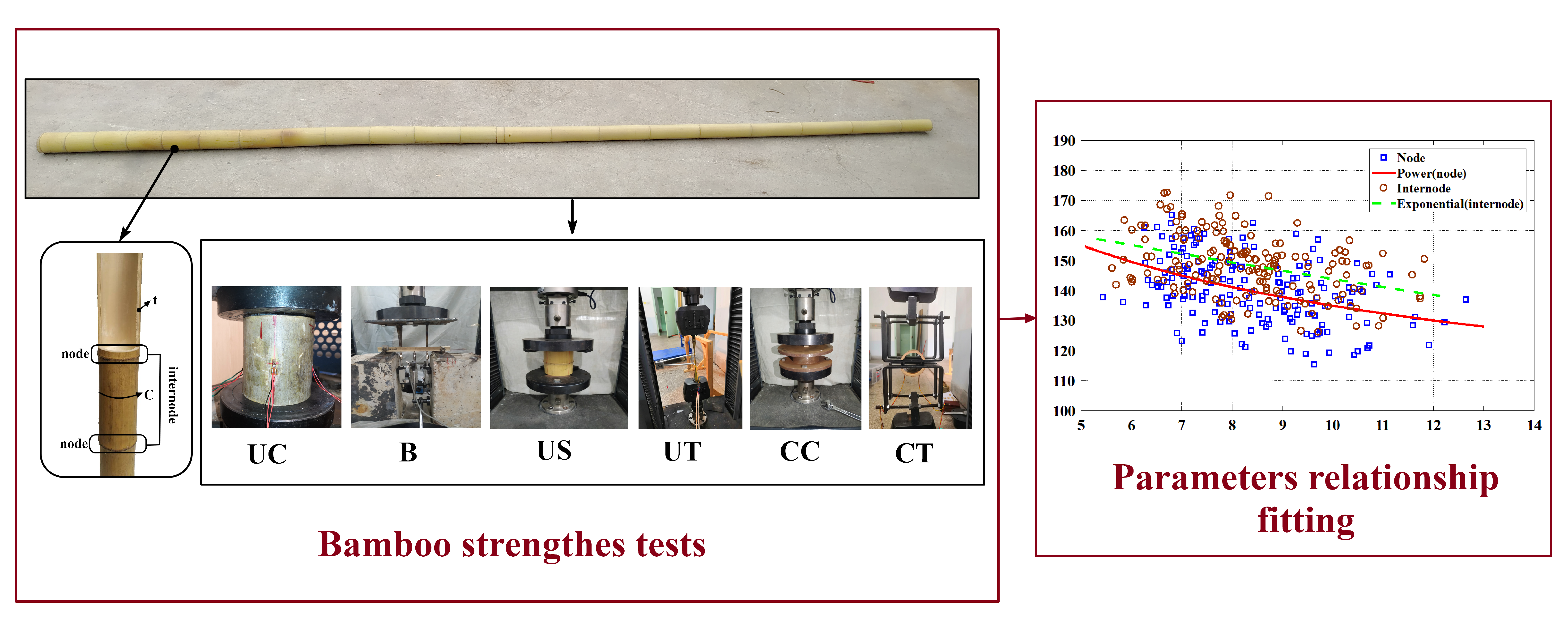 Prediction of Mechanical Properties of Structural Bamboo and Its Relationship with Growth Parameters