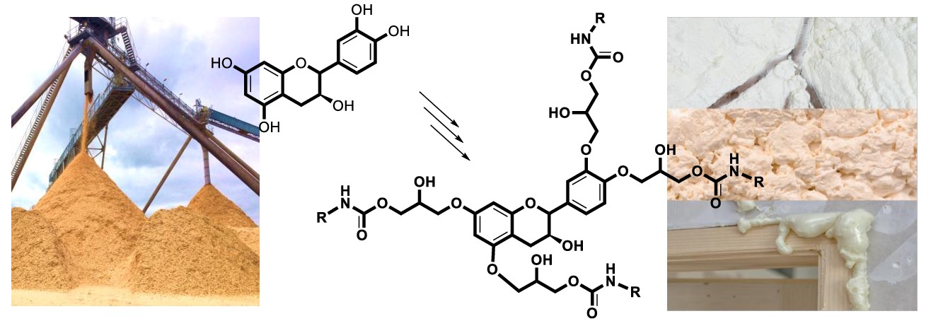 Feasibility Study of the Synthesis of Isocyanate-Free Polyurethanes from Catechin