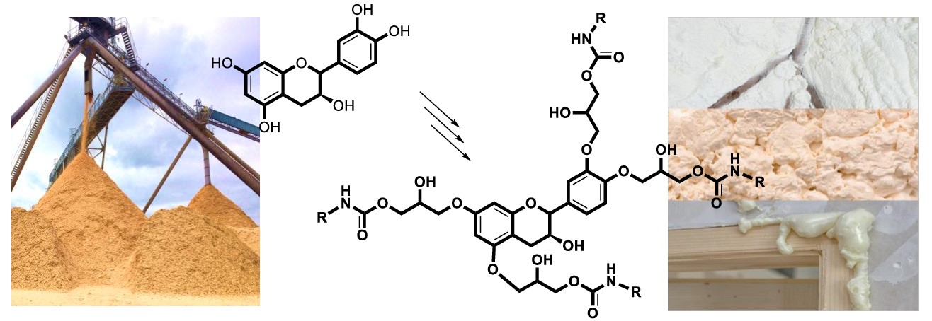 Feasibility Study of the Synthesis of Isocyanate-Free Polyurethanes from Catechin