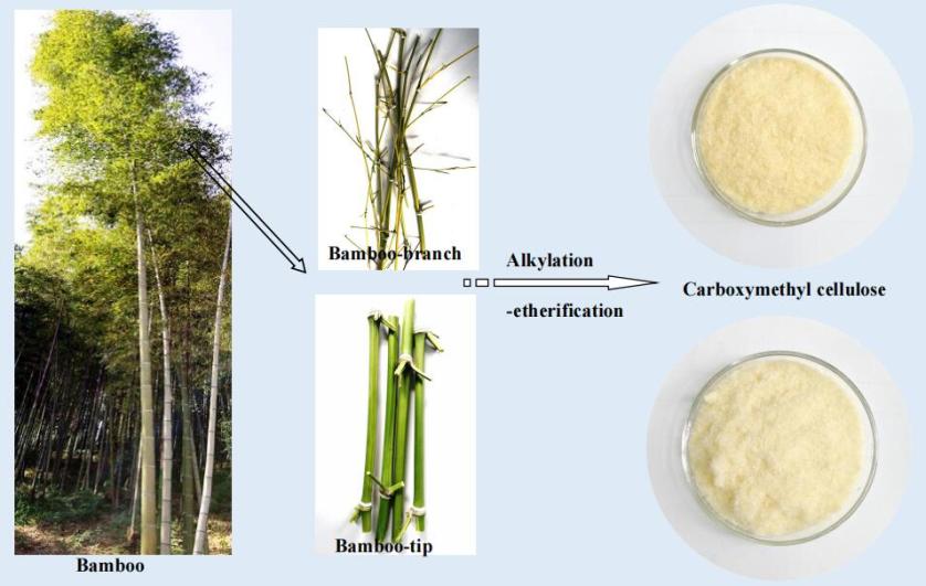 Characterization of Carboxymethyl Cellulose Made from Bamboo Harvesting Residues
