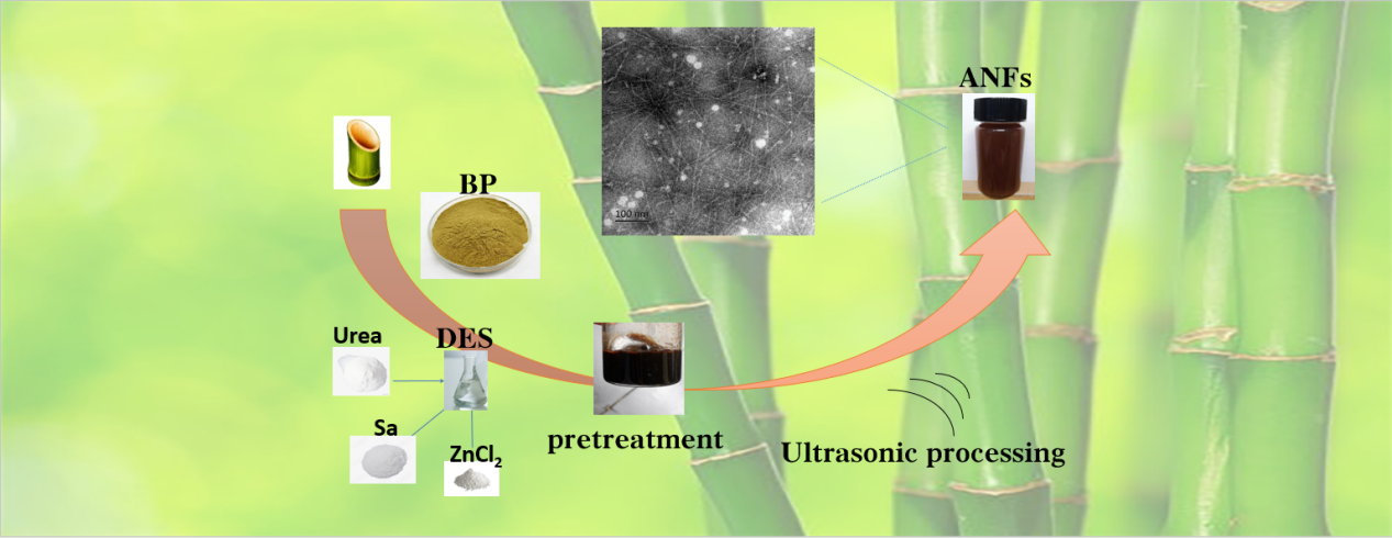 Study on Preparation of Lignin-Containing Nanocellulose from Bamboo Parenchyma