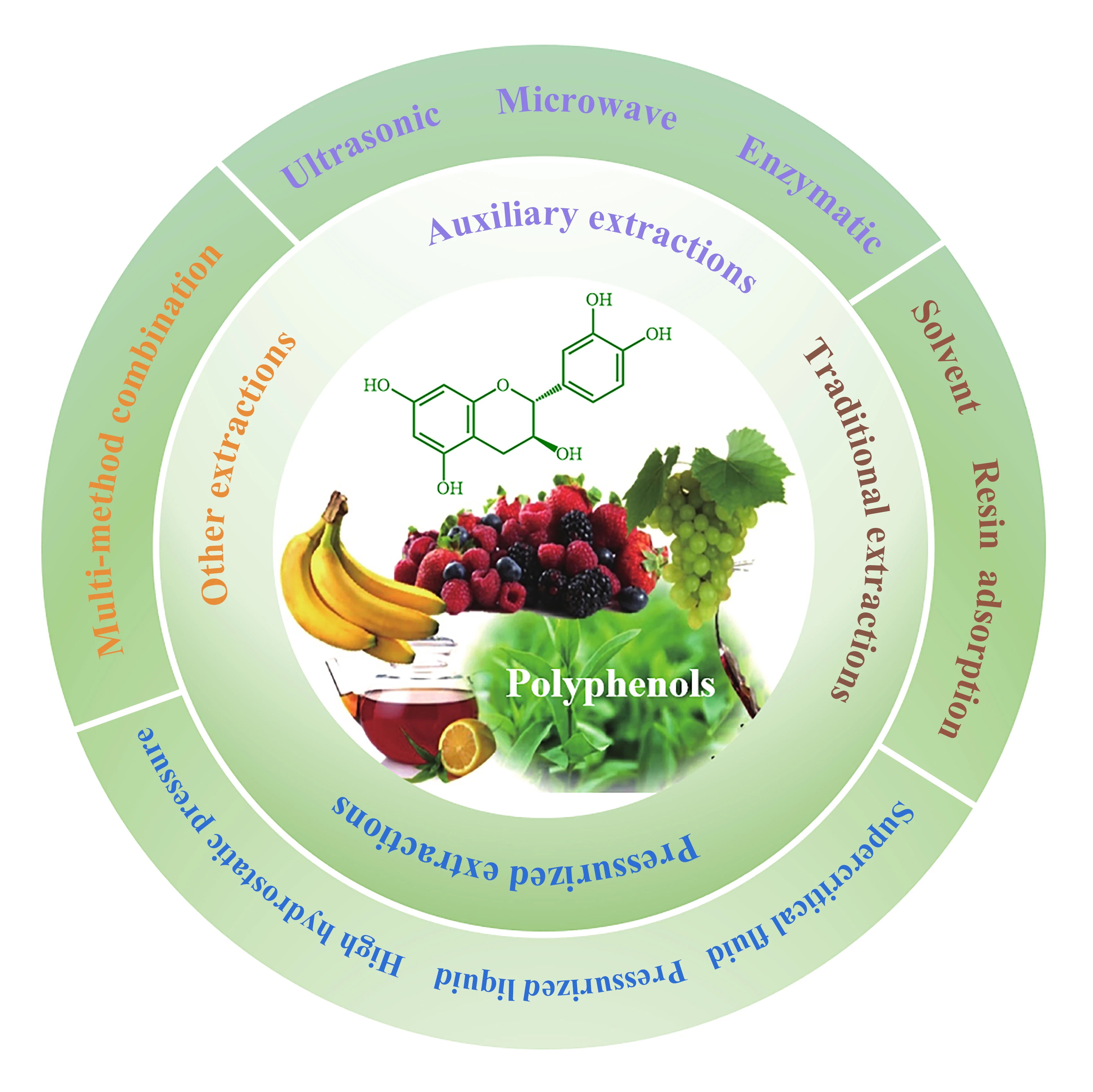 Recent Technologies for the Extraction and Separation of Polyphenols in Different Plants: A Review