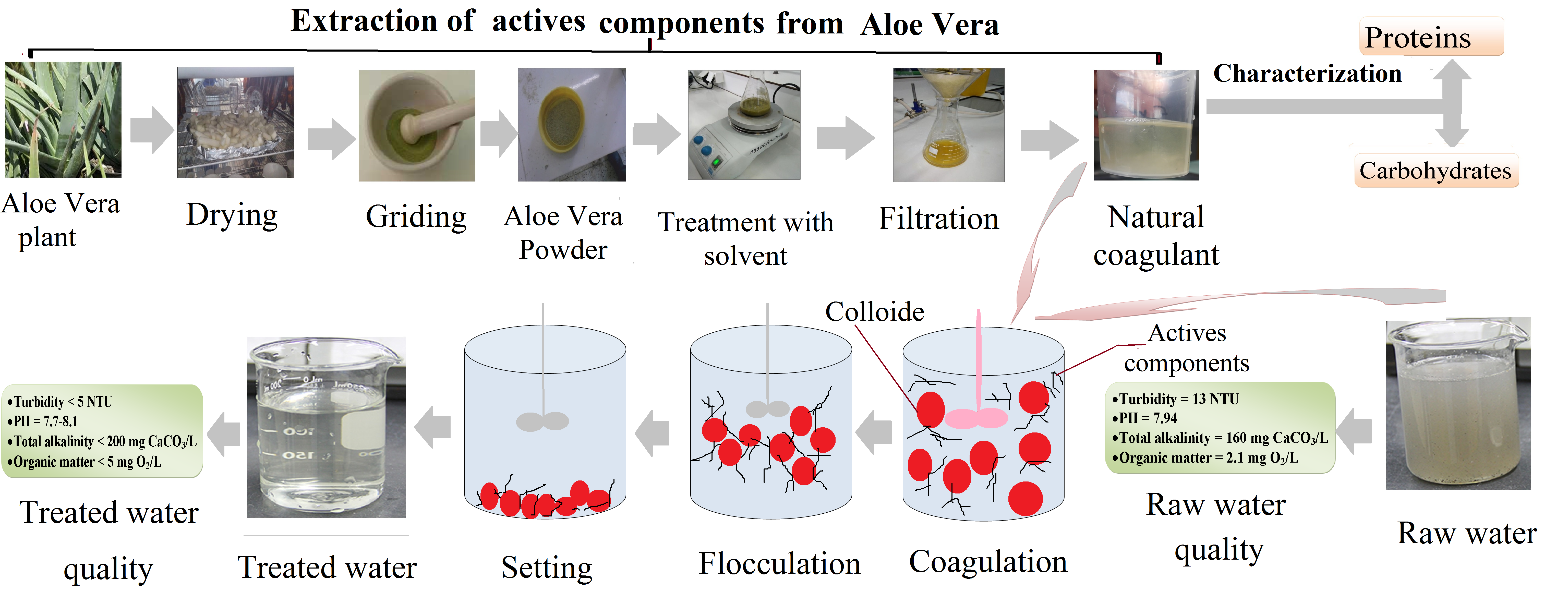 The Use of  as Natural Coagulant in Algerian Drinking Water Treatment Plant