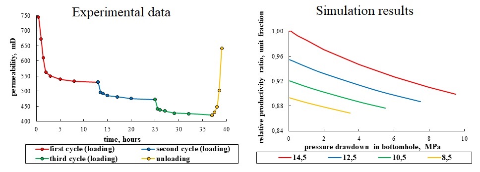 Experimental and Numerical Assessment of the Influence of Bottomhole Pressure Drawdown on Terrigenous Reservoir Permeability and Well Productivity