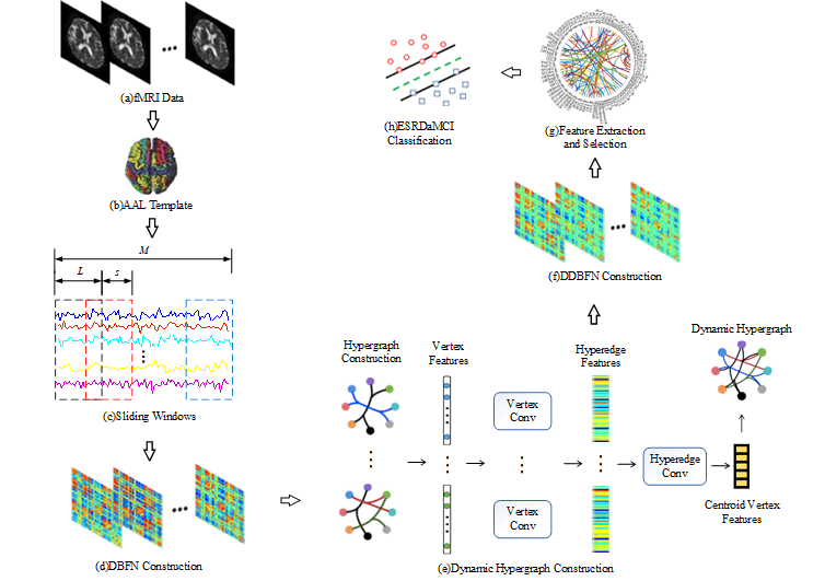 Brain Functional Networks with Dynamic Hypergraph Manifold Regularization for Classification of End-Stage Renal Disease Associated with Mild Cognitive Impairment