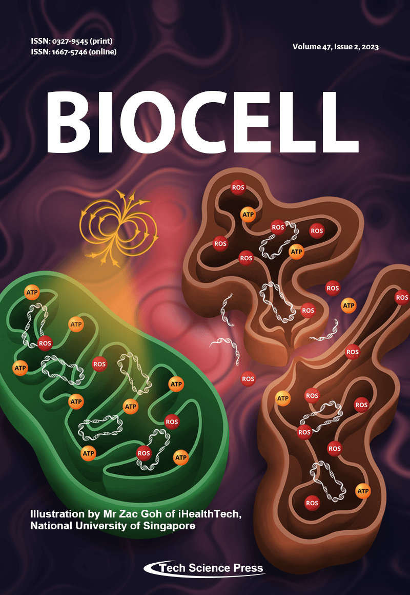 BIOCELL-Vol. 47, No. 2, 2023