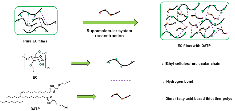 Preparation and Properties of Vegetable-Oil-Based Thioether Polyol and Ethyl Cellulose Supramolecular Composite Films