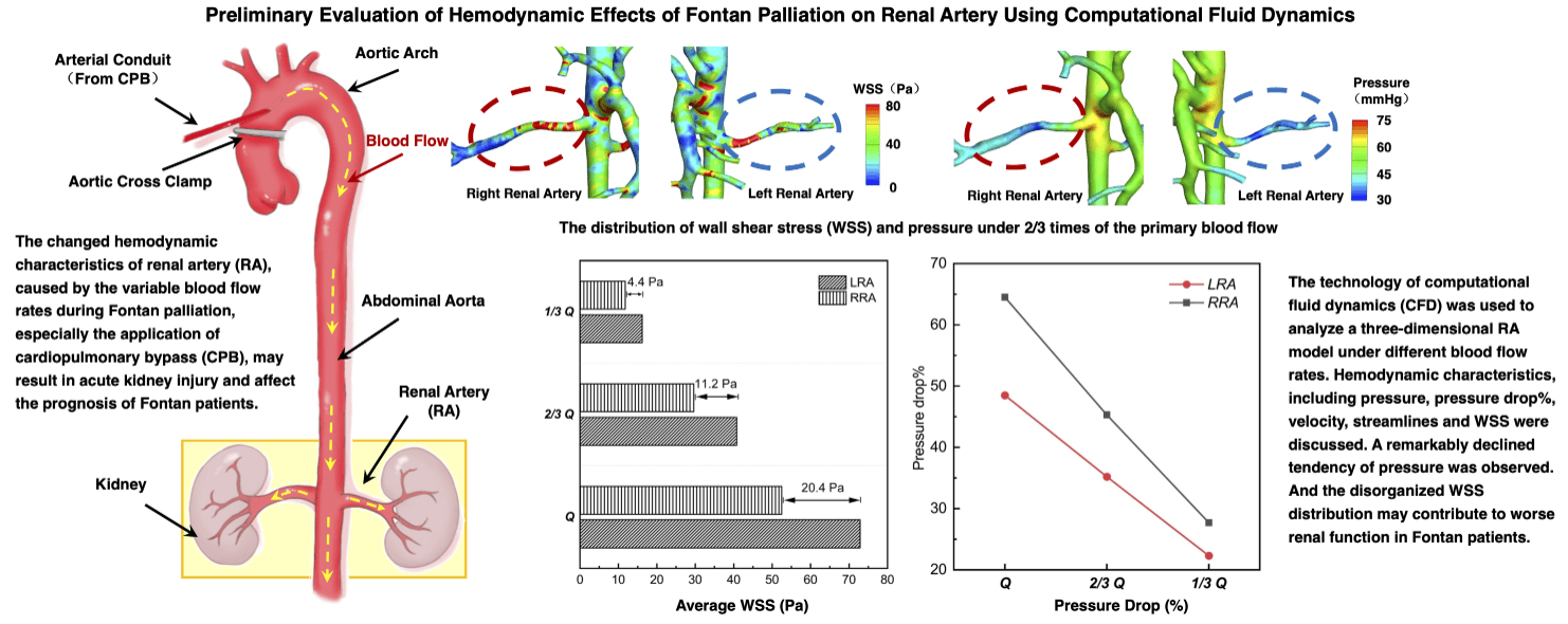 Preliminary Evaluation of Hemodynamic Effects of Fontan Palliation on Renal Artery Using Computational Fluid Dynamics