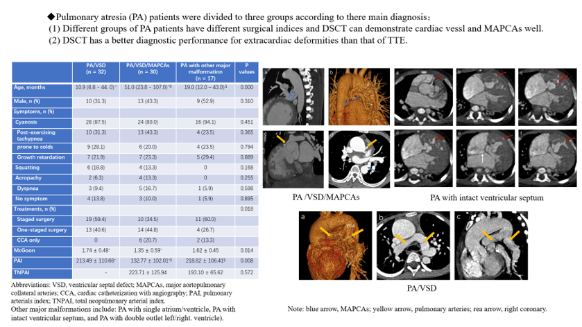 Assessment of Intracardiac and Extracardiac Deformities in Patients with Various Types of Pulmonary Atresia by Dual-Source Computed Tomography