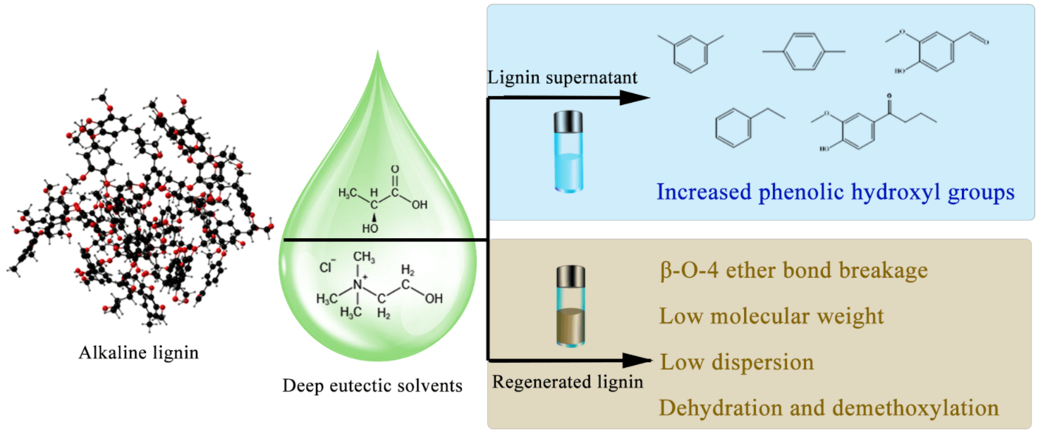 Degradation of Alkaline Lignin in the Lactic Acid-Choline Chloride System under Mild Conditions