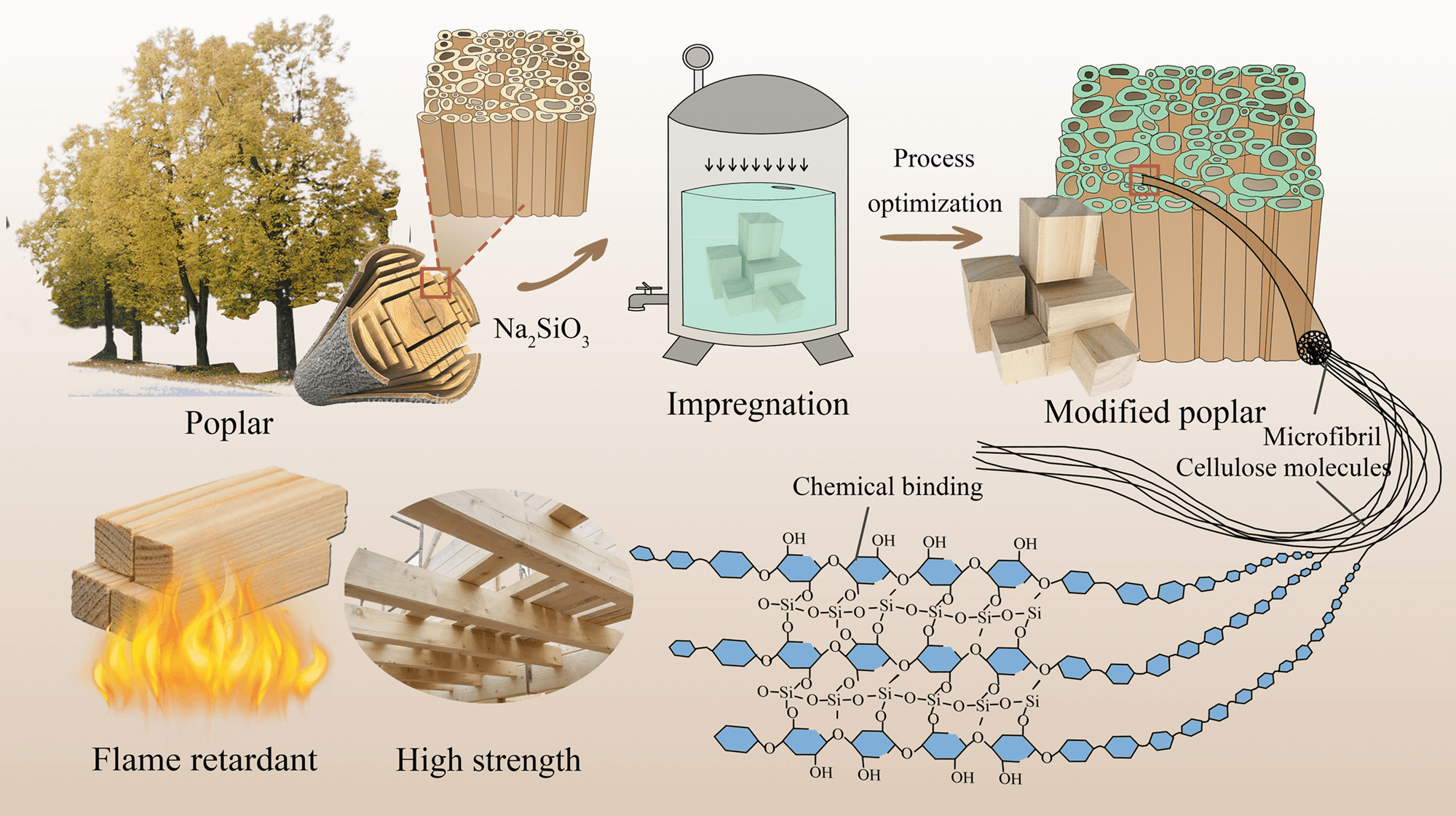 Selecting the Technology of Sodium Silicate Modified Poplar with the Highest Performance by Fuzzy Orthogonal Method