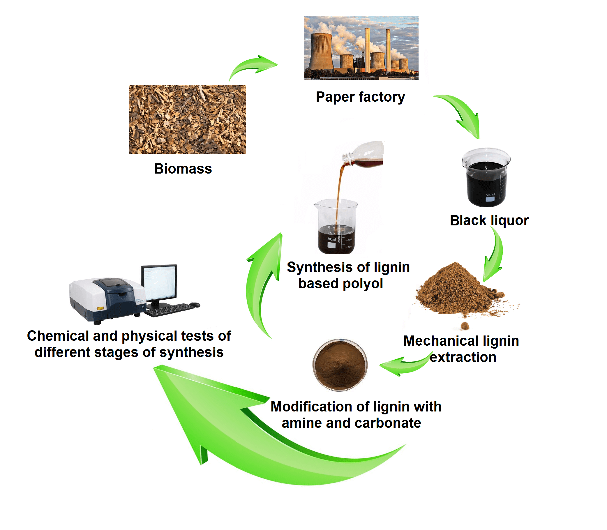 Effect of Amine Type on Lignin Modification to Evaluate Its Reactivity in Polyol Construction for Non-Isocyanate Polyurethanes (NIPU)