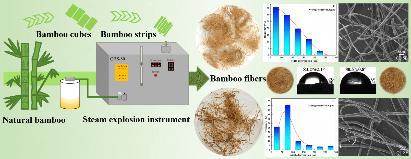 The Study on Bamboo Microfibers Isolated by Steam Explosion and Their Comprehensive Properties