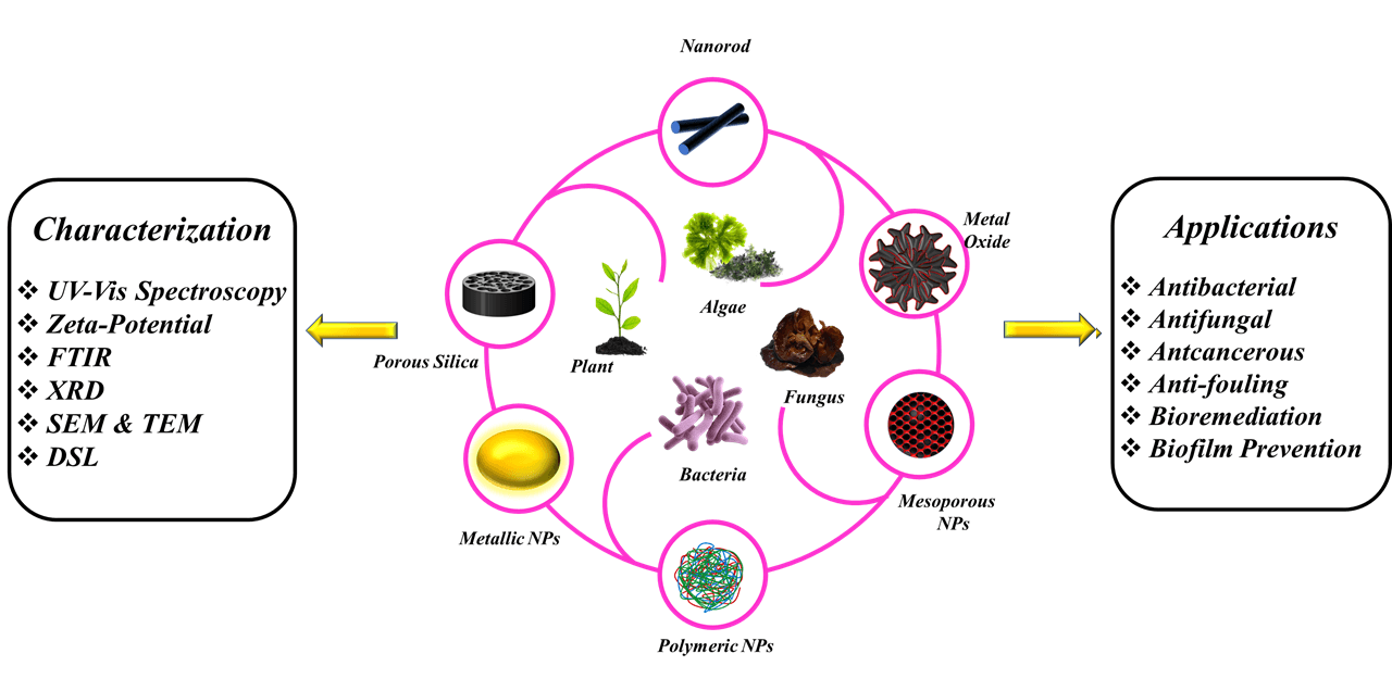 Synthesis of Metallic Nanoparticles Based on Green Chemistry and Their Medical Biochemical Applications: Synthesis of Metallic Nanoparticles