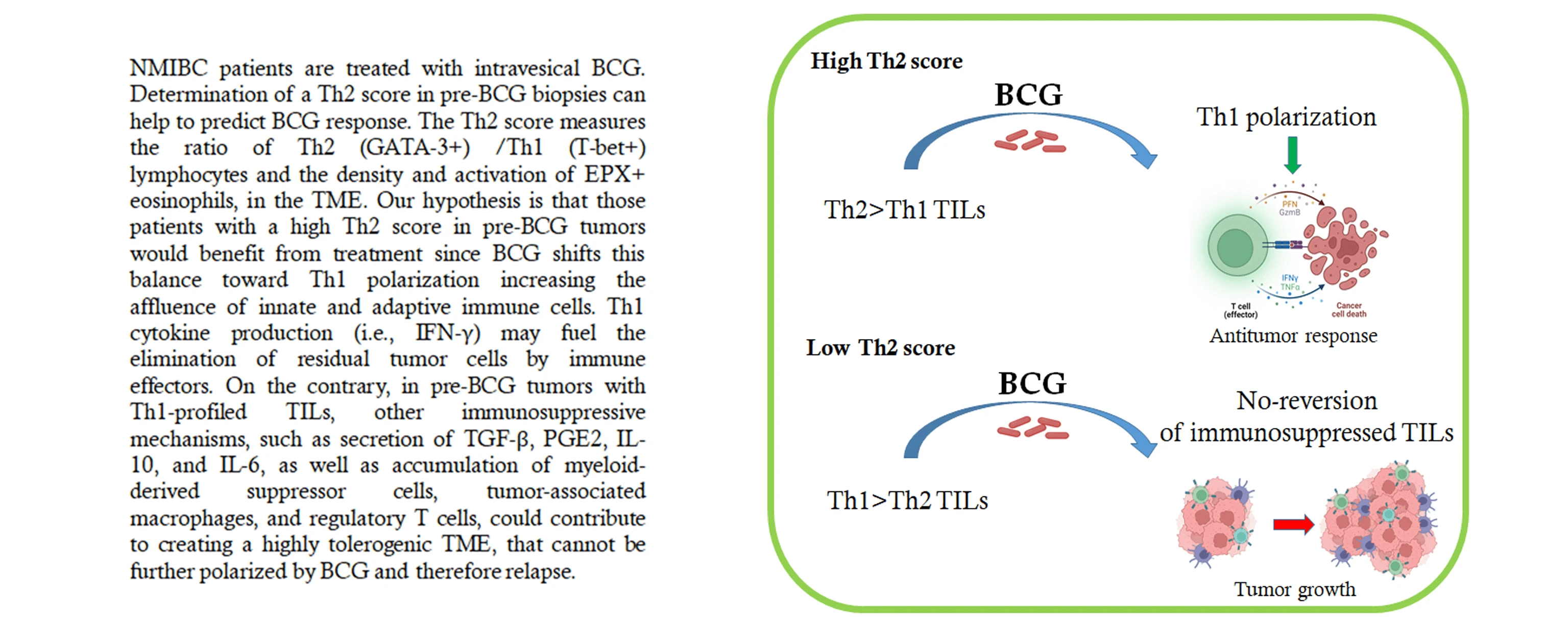 A Th2-score in the tumor microenvironment as a predictive biomarker of response to Bacillus Calmette Guérin in patients with non-muscle invasive bladder carcinoma: A retrospective study