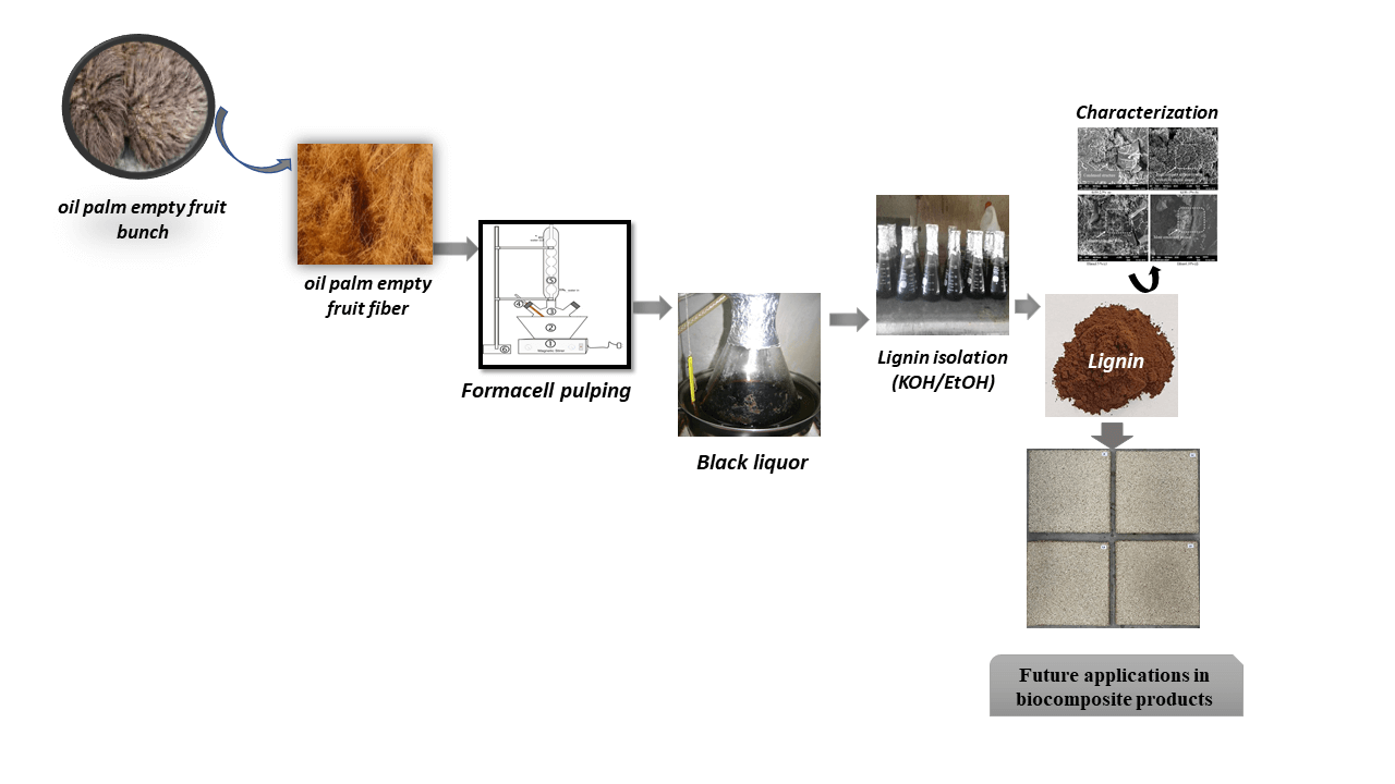 Characterization of Formacell Lignin Derived from Black Liquor as a Potential Green Additive for Advanced Biocomposites