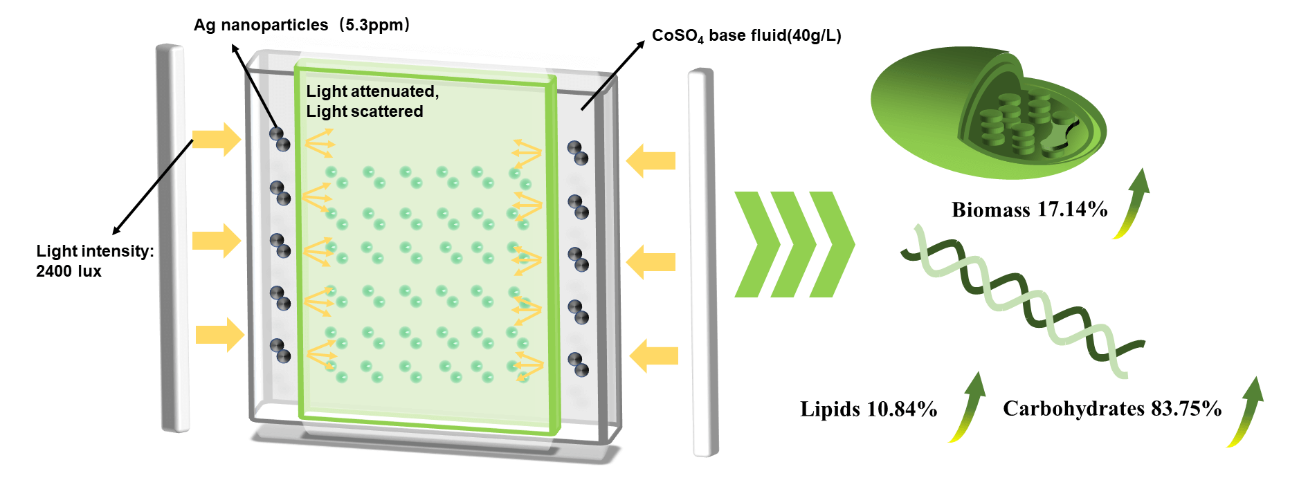 Experimental Study of Microalgae Cultivation under Selective Illumination by Ag/CoSO<sub>4</sub> for Bioelectrode Materials Preparation