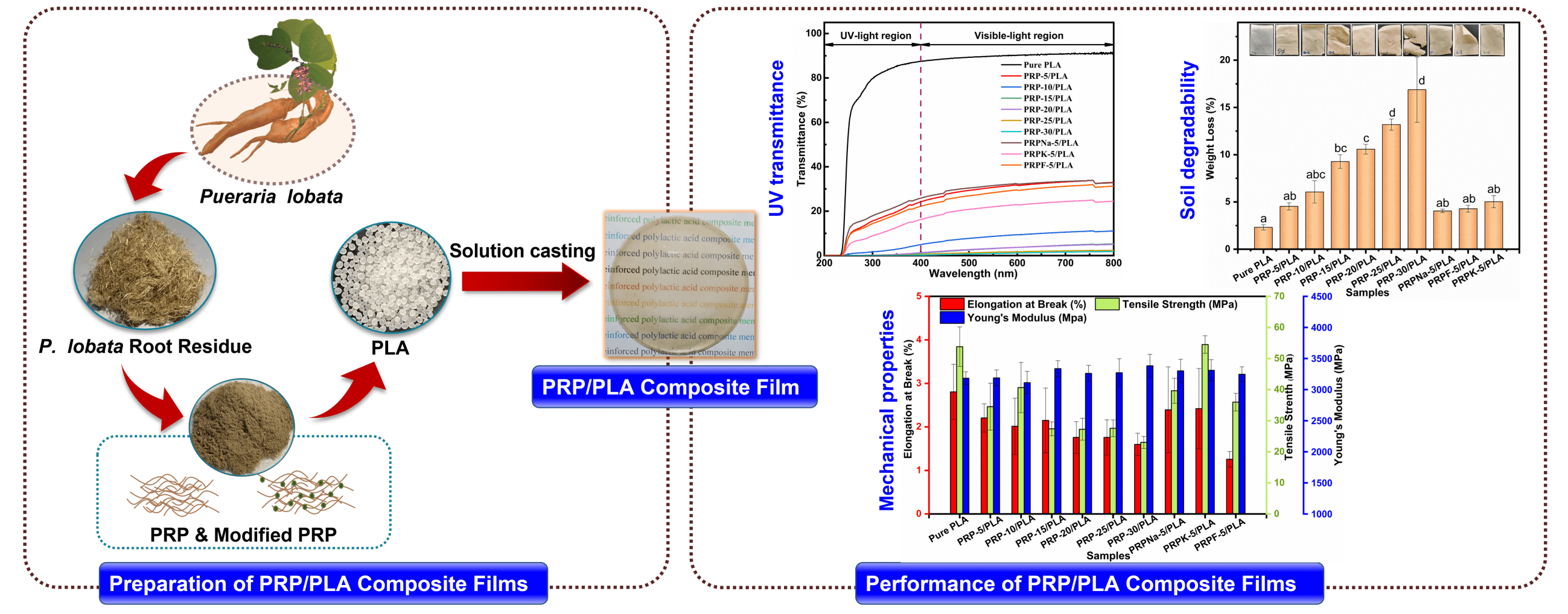 Preparation and Performance of <i>Pueraria lobata</i> Root Powder/Polylactic Acid Composite Films