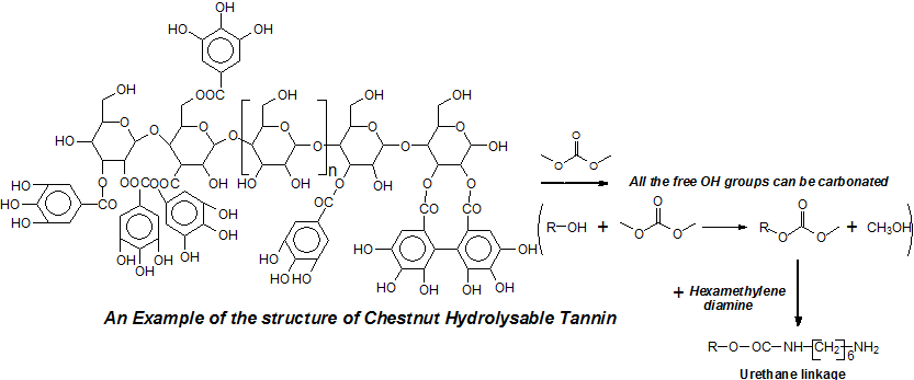 JRM | Hydrolysable Chestnut Tannin Extract Chemical Complexity In Its ...