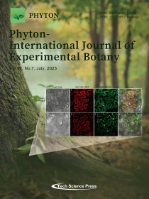Journal Cover